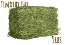 Timothy Hay for Rabbits &