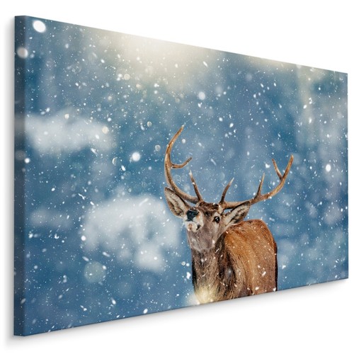 Canvas leinwand bilder xxl - leinwand,