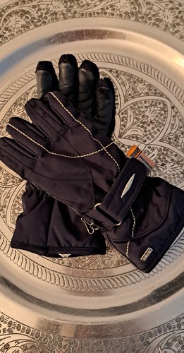 Skihandschuhe dunkelblau