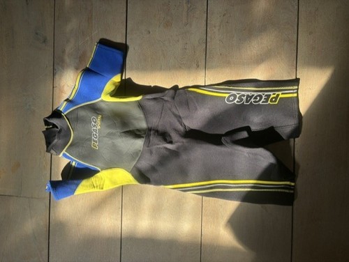 Eisweste pegaso sporting - eisweste,