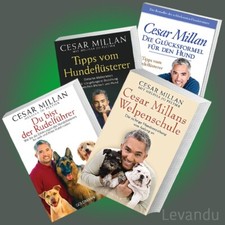 WELPENSCHULE + HUNDEFLÜSTERER