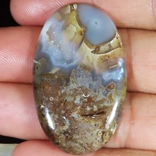 Natürlich Fossil Druzy Quarz