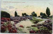 Lutterloh wachholderlandschaft - lutterloh,