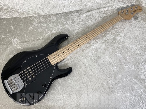 Sterling sub ray5 bassgitarre - sub,