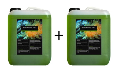 Liter phytoplankton - liter,