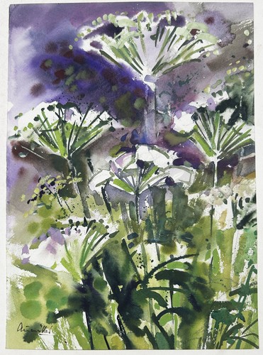 Franz aumüller blumen - aumüller,