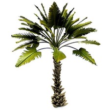 Palme - Höhe 14 cm - 1 Stück