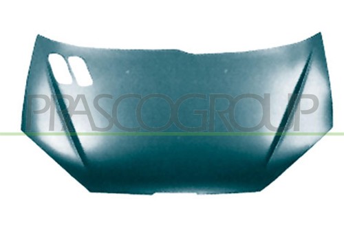 Motorhaube für peugeot 206 - motorhaube, sw