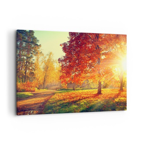 Wandbilder 120x80cm