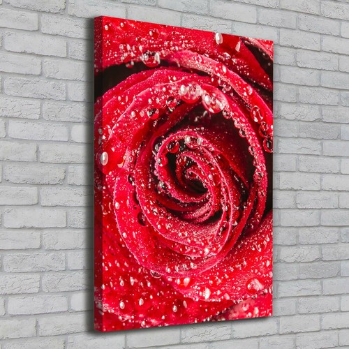 Leinwand bild kunstdruck - leinwand-bild,
