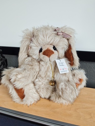 Kaycee bears hase - jea,