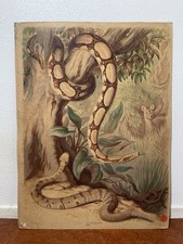 Wandtafel Schultafel Schlangen Giftschlangen #1