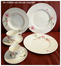 Rosenthal JADE MAGNOLIE Mokkatasse Espressotasse Speiseteller Suppenteller TOP