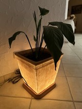 Blumentopf beleuchtet mit Pflanze 