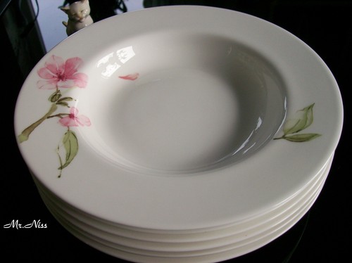Rosenthal jade magnolie x - magnolie, 6