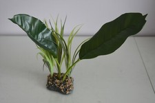 Terrarium Vivarium große