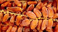 1000 deglet nour datteln - nour,