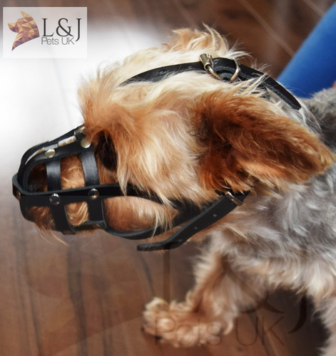 Licht leder hundemaulkorb für - leder,
