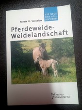 Pferdeweide-Weidelandschaft