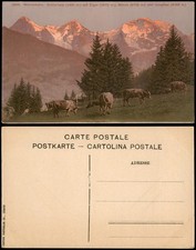 Mürren mürrenbahn - mürren,