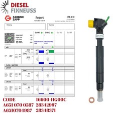 Injektor Einspritzdüse