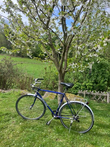 Gazelle retro rennrad - gazelle,