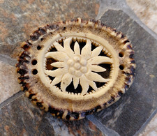 Hirschhornrose, geschnitzt