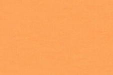 Rasch Textil Tapete Vlies