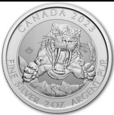 Silbermünze Kanada -  Ice Age