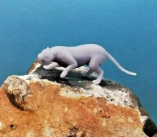 Tiger bergtiger katze - 1/87,