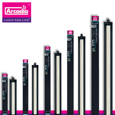 Arcadia LumenIZE Jungle Dawn