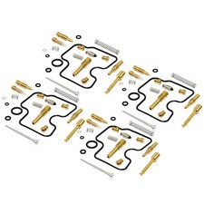 Vergaser Reparatur Satz 4