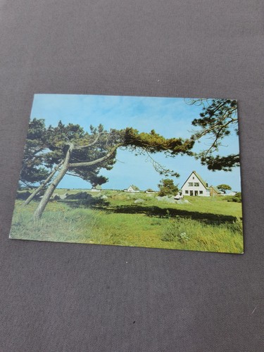 Hiddensee neuendorf - ,