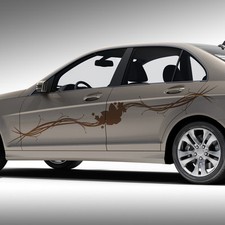 Blumen Ranke Blätter Auto