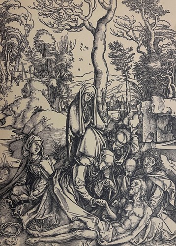 Albrecht dürer 1471 1528 - dürer, 1471-1528