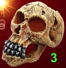 Aquarium Deko ❤️