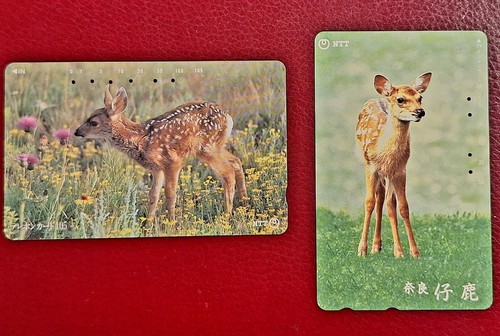 Japan rehe hirsche rehkitz - japan___rehe,
