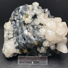 Galenit - Calcit - Pyrit  xx