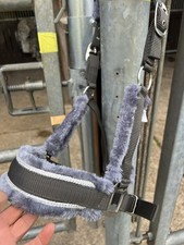 Halfter Cob Fell Neu 