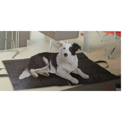 Hundedecke tragbare liegedecke - tragbare,