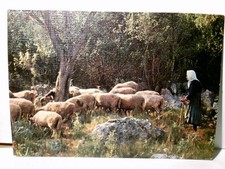 Nostalgie / Vintage. Schäferin mit Herde. Alte Ansichtskarte / Postkarte / Künst