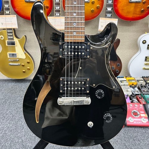 Prs custom hollow body - prs, se