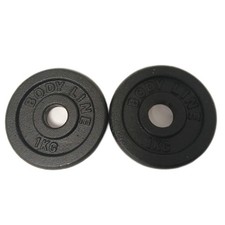 Gusseisen Hantelscheiben