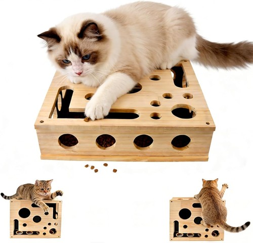 Katzen krallenpflege spielzeug - katzen,