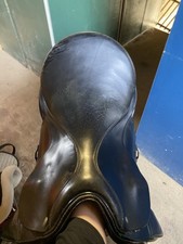 Sattel, Vielseitigkeit, Pferd, 17 Zoll