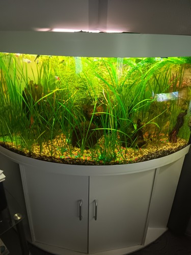Aquarium komplett gebraucht - aquarium,
