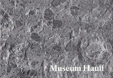 Museum Hauff in Holzmaden