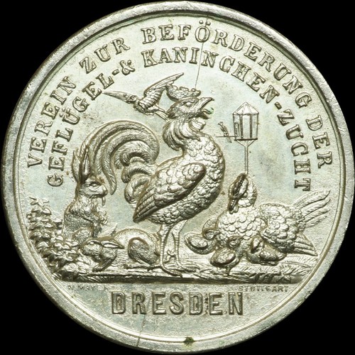 Dresden sachsen medaille - dresden,