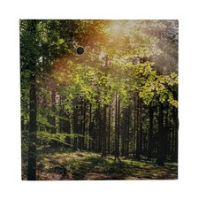 Soundbox " Forest " ca. 12 cm Vogelgezwitscher Waldklänge Heimdeko Deko Relaxen