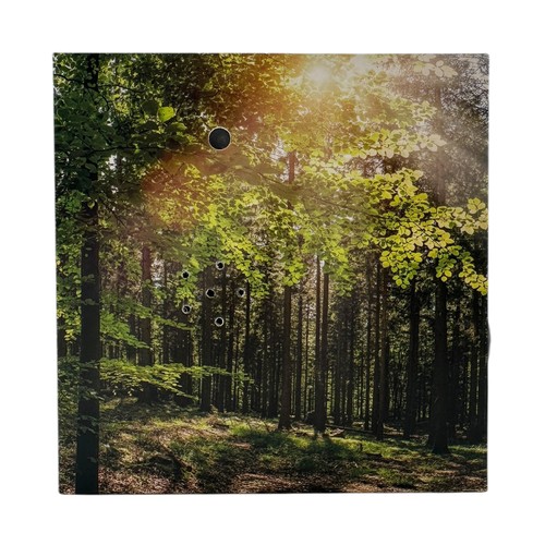 Soundbox forest ca 12 - ",